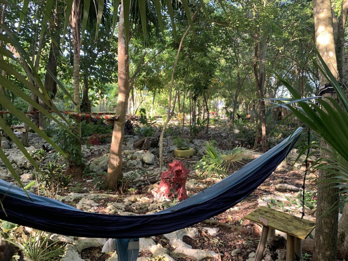 Can Jam Retreat เนกริล ภายนอก รูปภาพ
