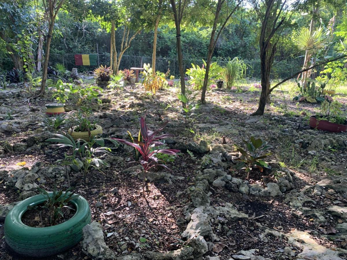 Can Jam Retreat เนกริล ภายนอก รูปภาพ